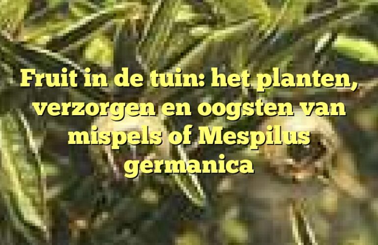 Fruit in de tuin: het planten, verzorgen en oogsten van mispels of Mespilus germanica